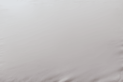 Encased Smooth Top Polyester Hypoallergenic Queen Mattress Protector